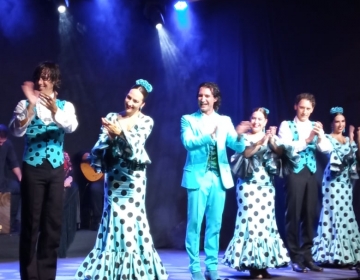 Olé Flamenco Show