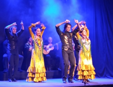Olé Flamenco Show