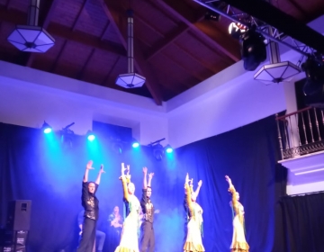 Olé Flamenco Show