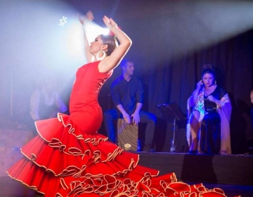 Olé Flamenco Show