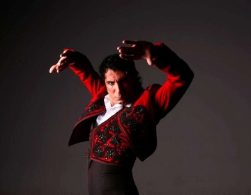 Olé Flamenco Show