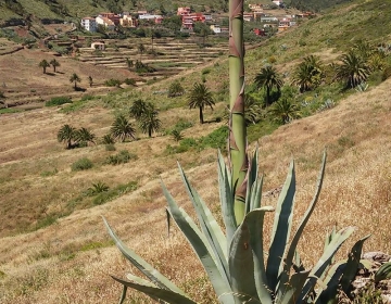 La Gomera