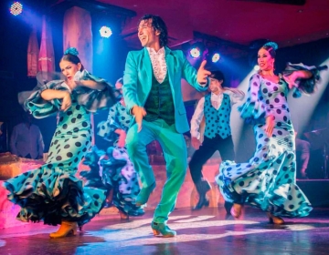 Olé Flamenco Show