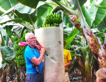 Banaaniekskursioon