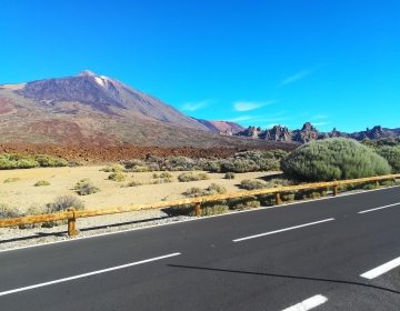 Individuaalne saaretuur Tenerifel