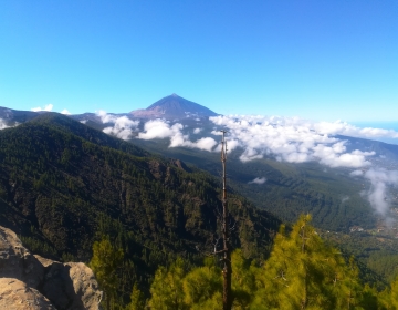 Privaatne saaretuur Tenerifel