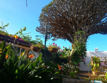 Privaatne saaretuur Tenerifel