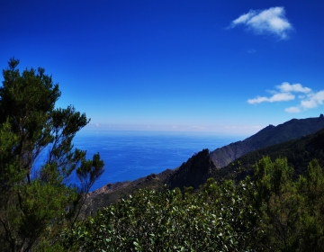 Individuaalne saaretuur Tenerifel