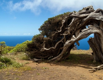 El Hierro